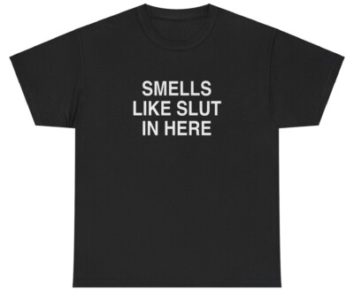Smells Like Slut In Here T Shirt Cursed Unhinged Silly Offensive Gen Z Tee