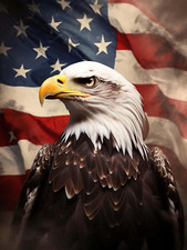 5D Eagle Diamond Painting Kits - DIY Diamond Art Kits for Adults American Flag,