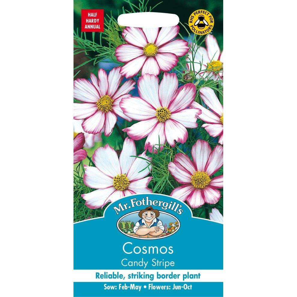 Mr Fothergills Pretty Coloured Garden Flowers Cosmos - Candy Stripe Seeds