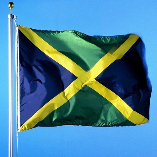 Achat Pavillon Nautique Jamaïque 45x30 Cm Anneaux Usage Extérieur