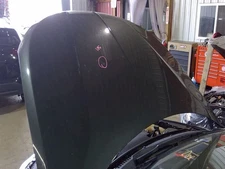 (LOCAL PICKUP ONLY) Hood Fits 13-16 MKZ 940591