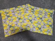 Traditional Pony Pouch - Set Of 2 - Lemons And Bees
