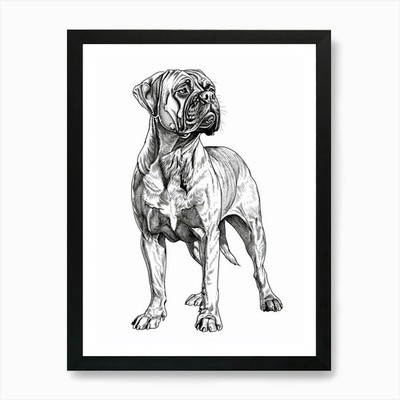 Bullmastiff Hund Linie Skizze 2 Kunst P gerahmtes Wandbild Poster Leinwanddruck Bild