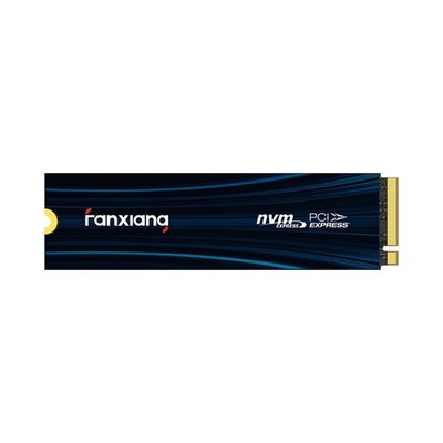 fanxiang 500GB M.2 NVMe SSD PCIe 4.0 6300MB/s für PS5 PC internes Festplatten