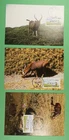 DR WHO TAIWAN CHINA 3 FDC MAXIMUM CARD ATM FRAMA ANIMAL R62554