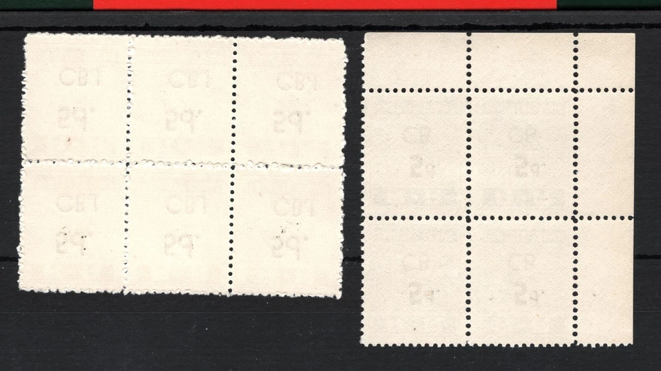 Paquetes de RHODESIA RAILWAYS 2 bloques de 6 y 4 sobreimpresiones 5d CB & CBJ como nuevos UMM SS4511 Foto 4 de 4