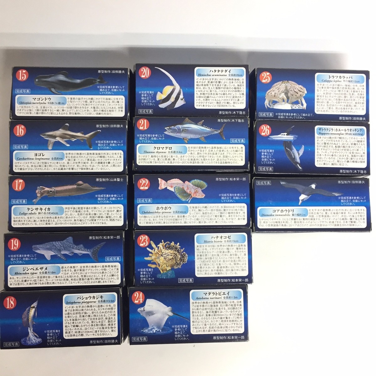 カネコイサオ Kaiyodo Aquatales Kuroshio Comecco 2 Bottle Cap Mini Figure 13 pcs