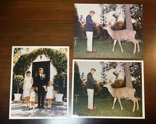 JFK Family & Deer Photos 8x10 Photo Lot 3 Jacqueline Caroline JFK Jr