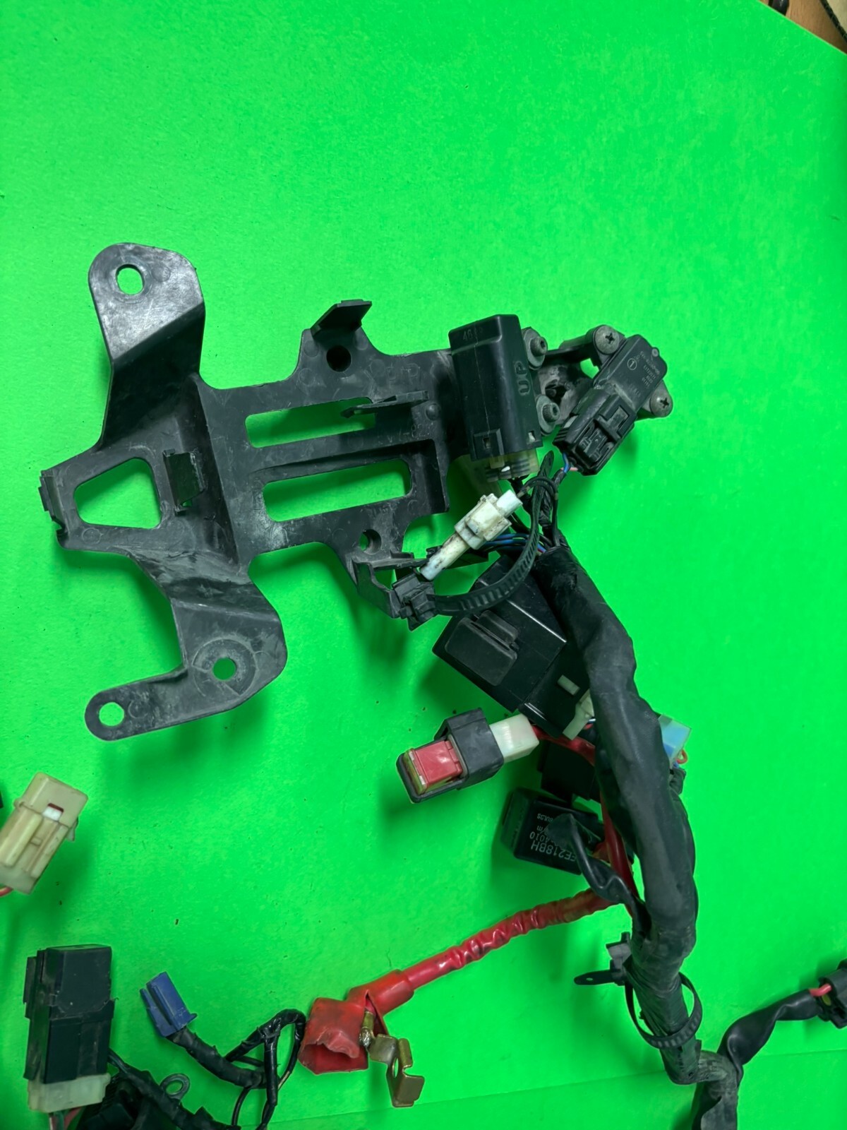 Picture 5 of 12