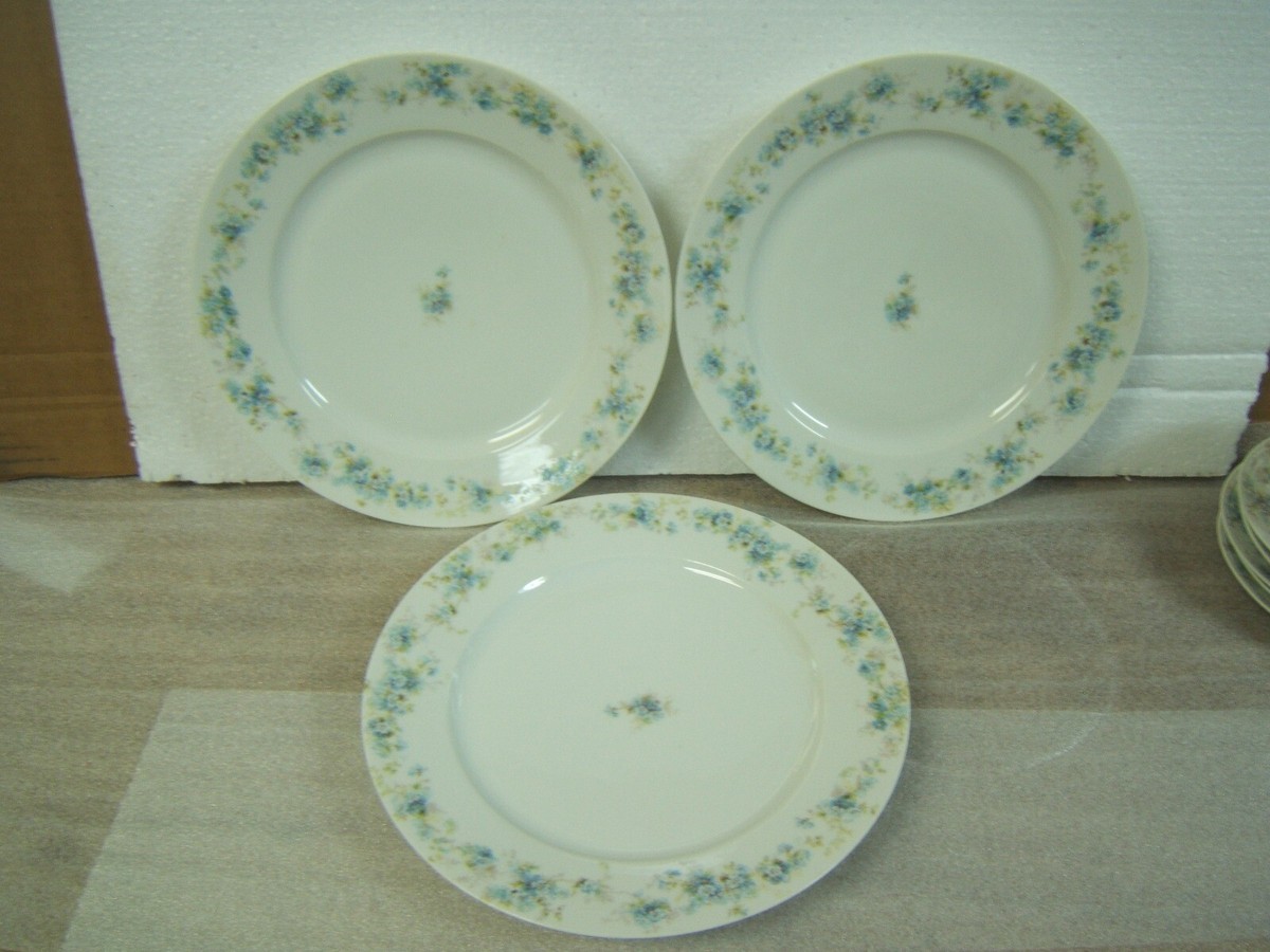 CH.FIELD HAVILAND 3点SET Charles Field Haviland Limoges CHF1584 Lot of 3 Dinner plates