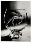 LG919 1954 Original Photo TWENTY BRITISH ARTISTS IN CRYSTAL STEUBEN GLASS NY