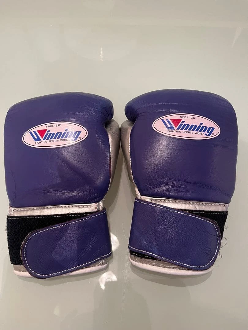 Winning Silver Boxing Gloves for sale | eBay