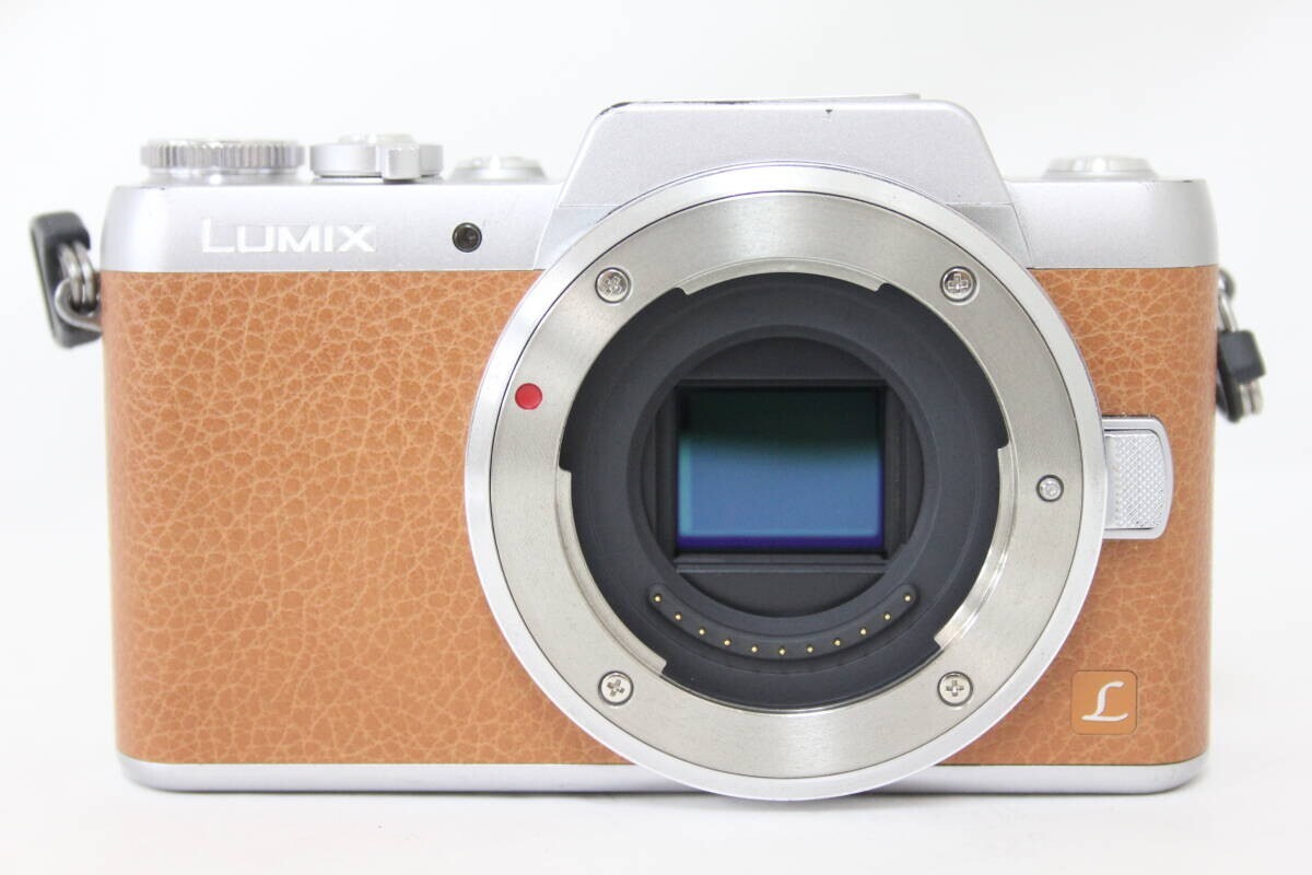 Mint] Panasonic DMC-GF7 LUMIX G HD Digital Camera Brown 12