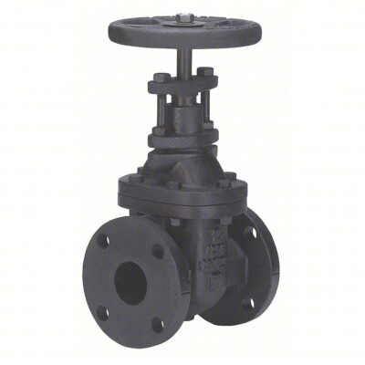 FNW Gate Valve: Class 125, 2 1/2 in Pipe Size, 200 psi Max. Water Pressure