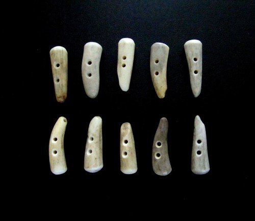ANTLER BUTTONS,1 1/4"TOGGLES,TINES,10 STUBBY VARIETY PIECES,3/32" HOLE,114-46 - Picture 2 of 4