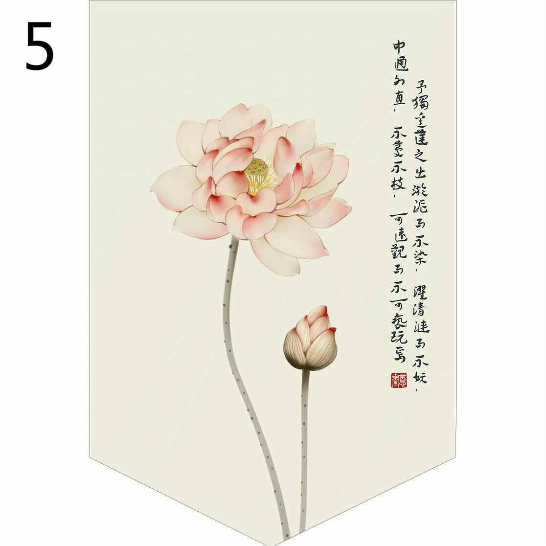Foto 9 di 19