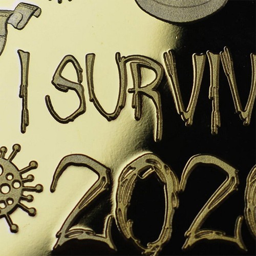 Hard Years Commemorative Memorial I Survived 2020 Home Collectible Alloy Coin - Picture 6 of 7