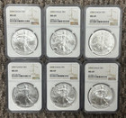 1986-2021 American Eagle Silver Dollar Type 1 Collection 36 ASE Coins, NGC MS-69 — photo 8