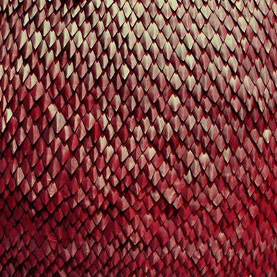 Kill The Vultures Carnelian (CD) (US IMPORT)