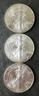 2002, 2003, and 2004 $1 American Silver Eagle Dollars