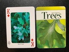Swap Playing Card      MIDWEST TREES      Red Oak     SINGLE CARD