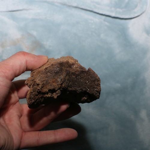 Triceratops Horn Chunk Bone Dinosaurier Fossil - Hell Creek Formation Kreidezeit - Bild 6 von 10