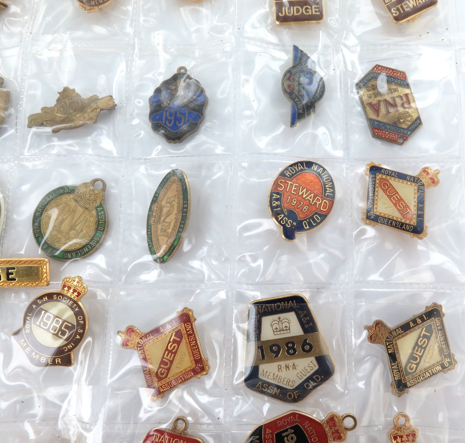 Superb Job Lot Brisbane EKKA / RNA Members, Guest, Judges, Steward Badges 