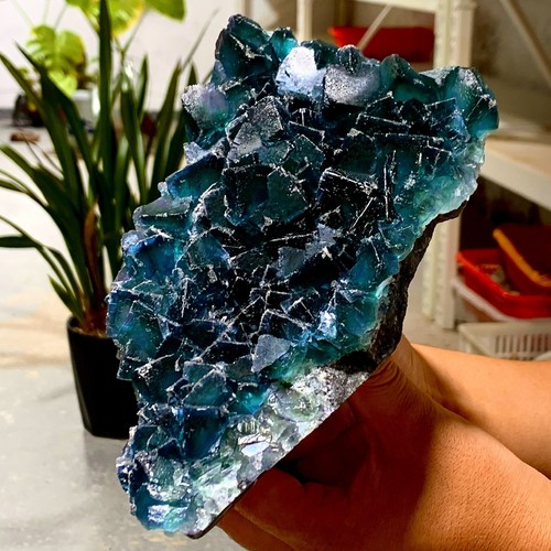 Cubo azul transparente raro de 2,77 lb muestra de cristal mineral de fluorita/China - Imagen 8 de 19