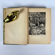 Bambi 1928 1st US Edition Felix Salten Hardcover Illustrations by Kurt Weise