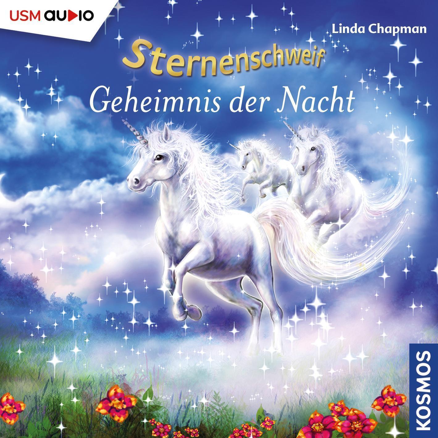 Thumbnail - Sternenschweif 24. Geheimnis Der Nacht, Linda Chapman
