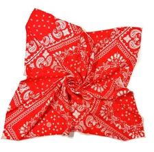Unisex Cotton Square Scarf Bandanas 22”x22” Paisley-Red