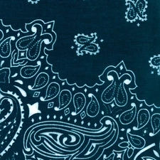 Hav-A-Hank Paisley Bandanna 22"X22" Navy