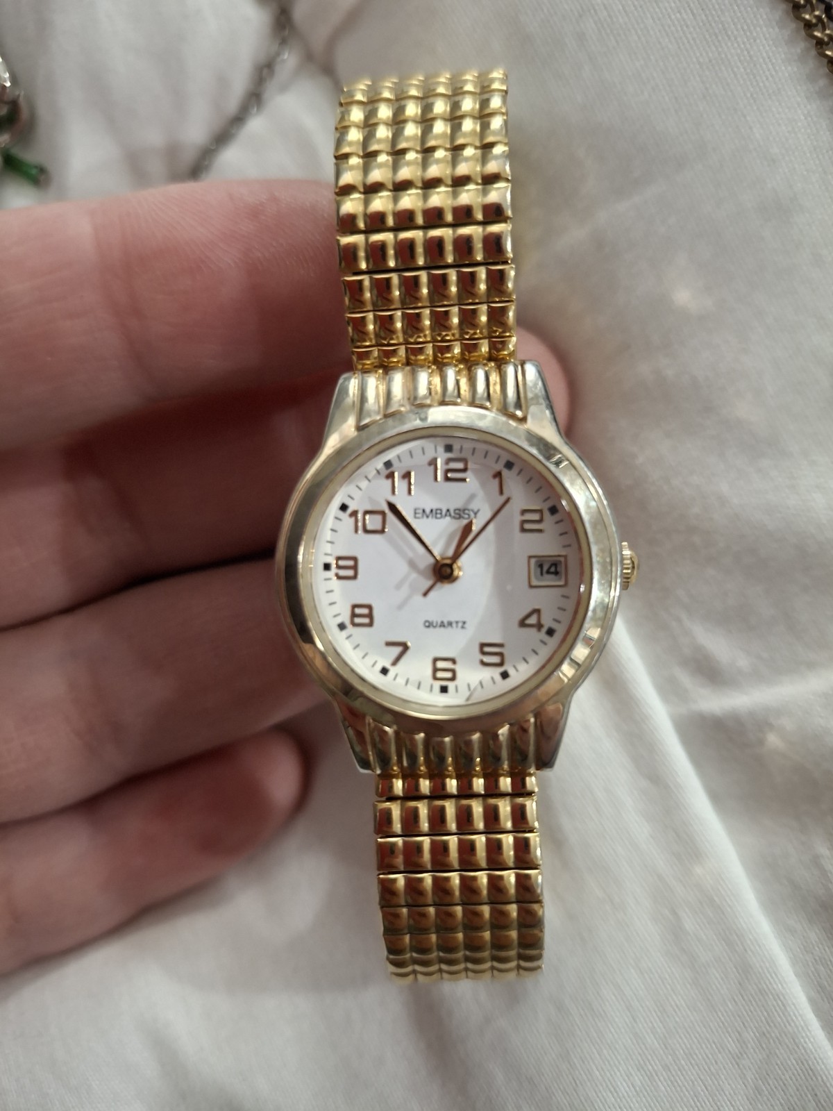 Embassy Watch - image 1