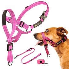 Dog Headcollar with Leash and Safety Strap Stops Heavy Pulling On The Leash P...