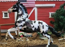 Breyer full roan etchie  Wyatt Mold
