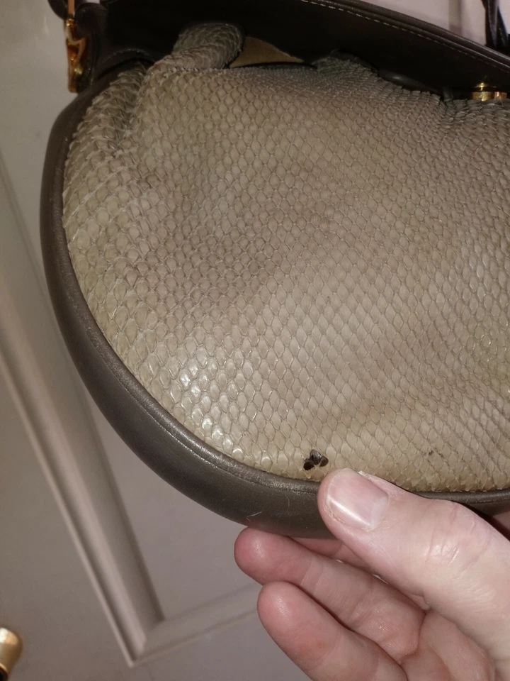 Vintage Gucci Grey snakeskin hobo bag - Classy looking bag - Image 4 of 4