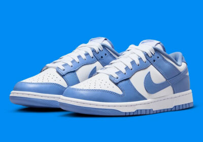 Nike Dunk Low Retro Shoes 'Polar Blue White' DV0833-400 Men's