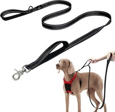 Dual Handle Padded Dog Training Leash, 6ft Long Dog Leash Heavy Duty, Black