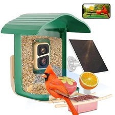 Solar Powered Smart Bird Feeder with Camera, 2K HD, AI Birds ID, WiFi Green