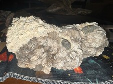 Gysum Desert Rose Cluster Large Raw Crystal Specimen Raw Stone