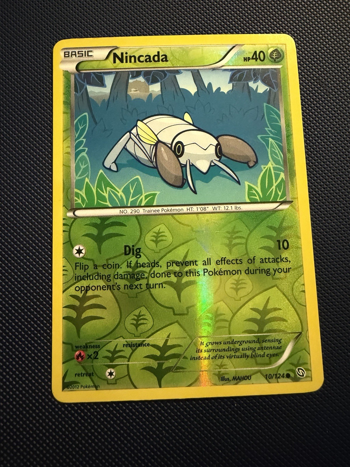 Nincada 10/124 Dragons Exalted Reverse Holo