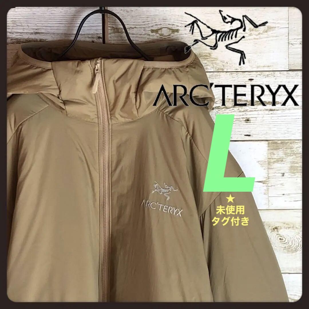 Arc'Teryx Uomo Tagged Arcteryx Atom Felpa con Cappuccio Vhtf Collo Giacca Leggera Limitata