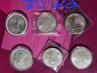 16 walking liberty 1 oz bulk listing .999 coins
