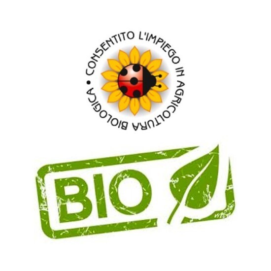 Biolchim Fylloton concime organico biologico a base di alghe e amminoacidi, Concime organico liquido 5L
