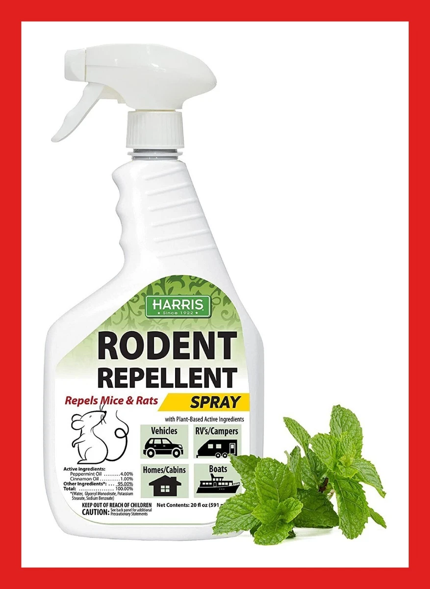 Peppermint spray 2024 for rats