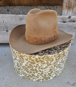 Resistol Cowboy Hat | eBay