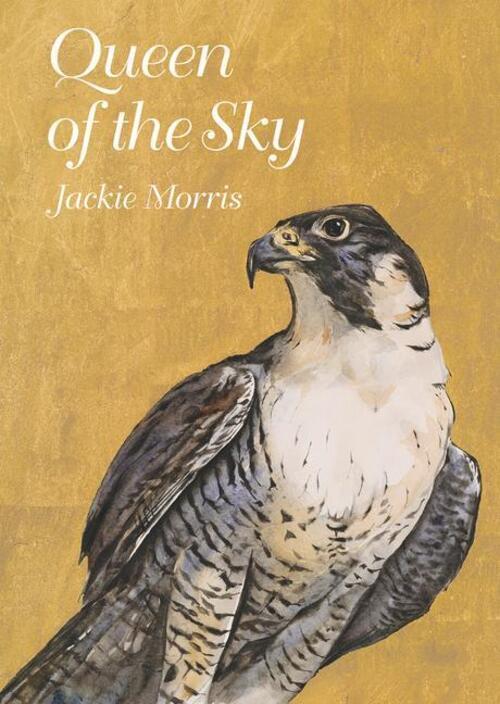 Thumbnail - Jackie Morris | Queen Of The Sky | Buch | Englisch (2024) | Gebunden