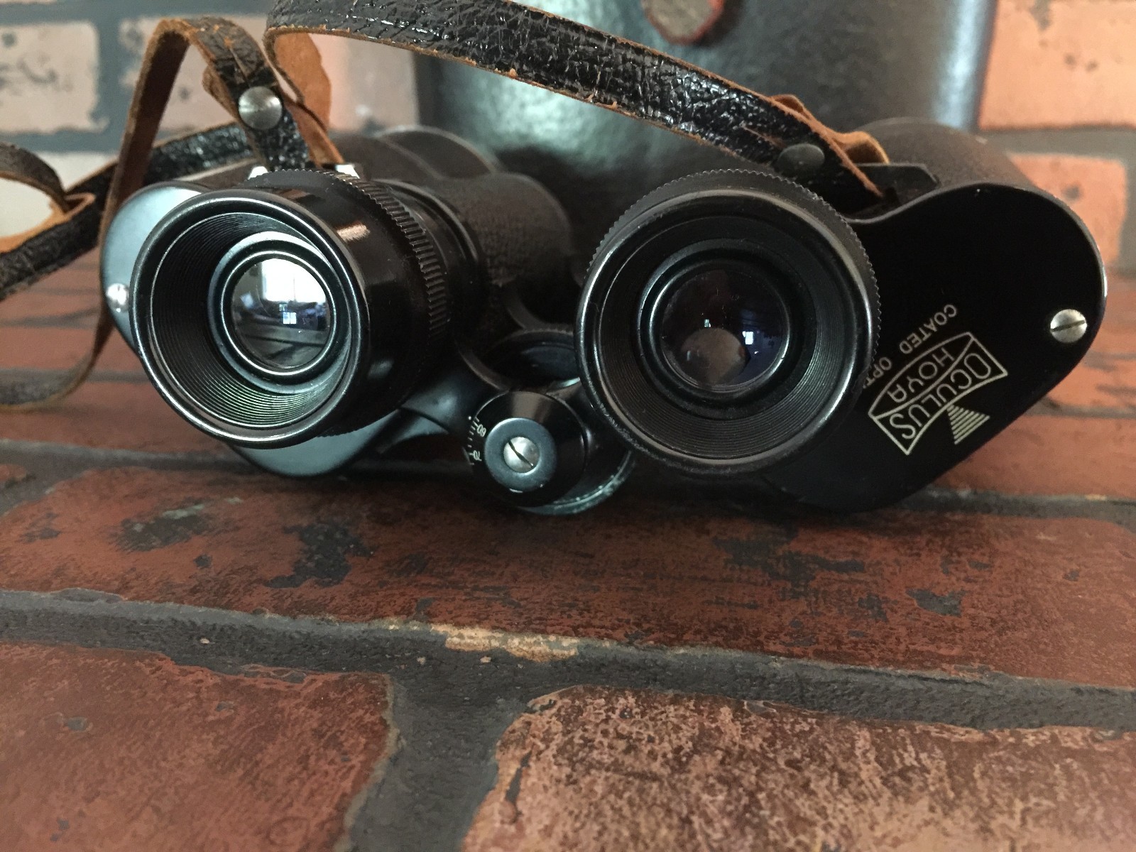 hoya binoculars