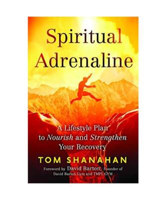 Spiritual Adrenaline: A Lifestyle Plan to Nourish and Strengthen Your Recovery, 