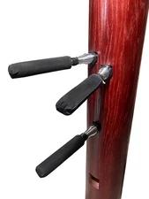 Wing Chun Spring Arms